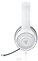 Razer Kraken X
