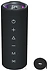 Tronsmart Mirtune C2