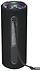 Tronsmart Mirtune C2