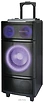 AIWA CAS-2021