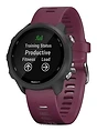Garmin Forerunner 245
