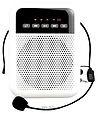 LAudio WS-VA030