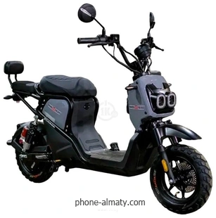 AVM.Plus Zoomer ()