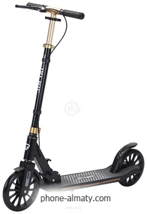Ricos Dart JSCT1 ()