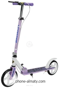 Ricos Shine JSCM6698 ()