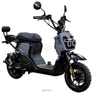 AVM.Plus Zoomer (�����)