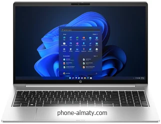 HP ProBook 455 G10 (7P3B4UT)