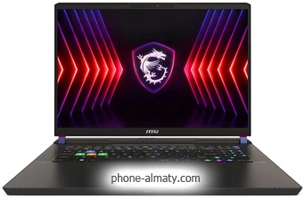 MSI Vector 17 HX A14VIG-899RU