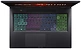 Acer Nitro 17 AN17-41-R59V (NH.QL2CD.004)