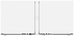 Apple Macbook Pro 14" M2 Pro 2023 (Z17G001B2)