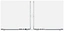 Apple Macbook Pro 16" M2 Max 2023 (MNWE3)